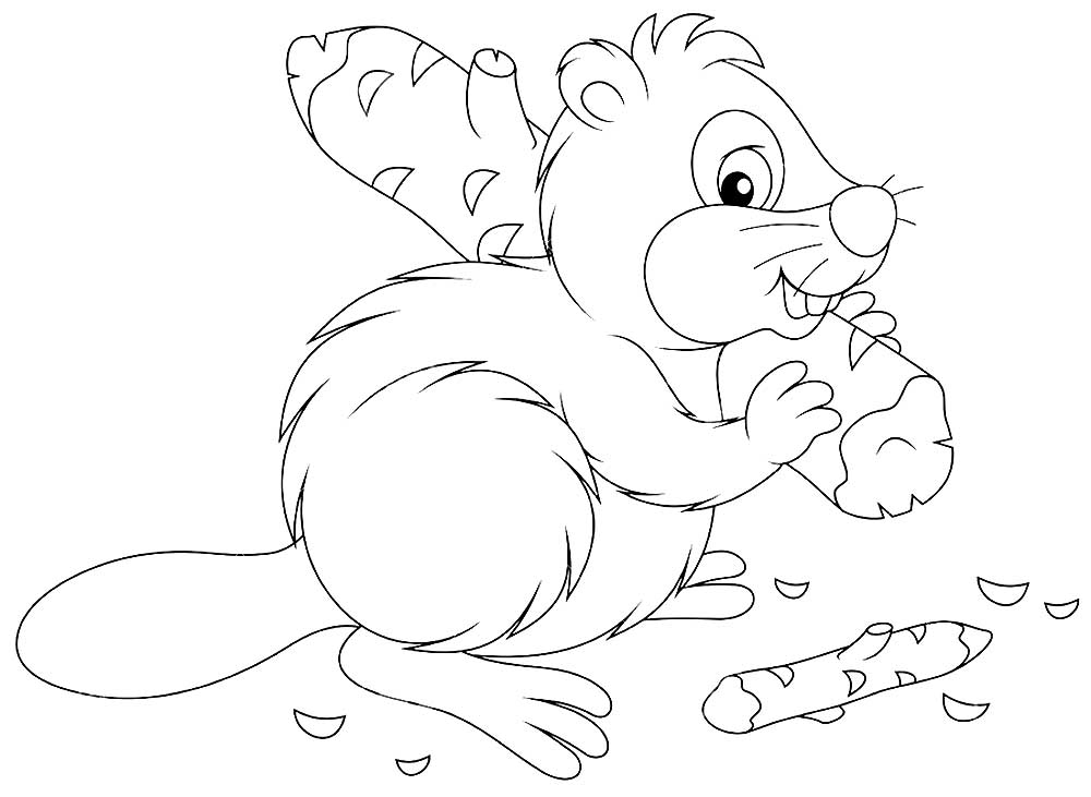 Животное бобер. Бобры могут строить платины и грызть деревья