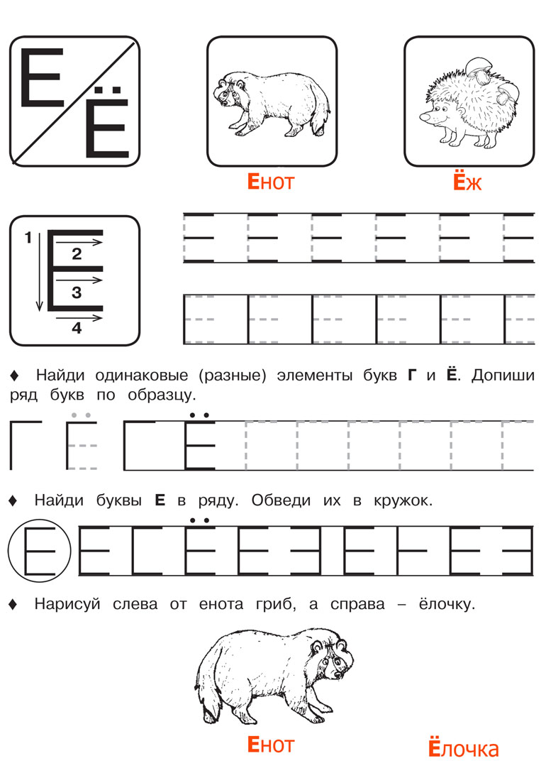 Буква Е Пропись