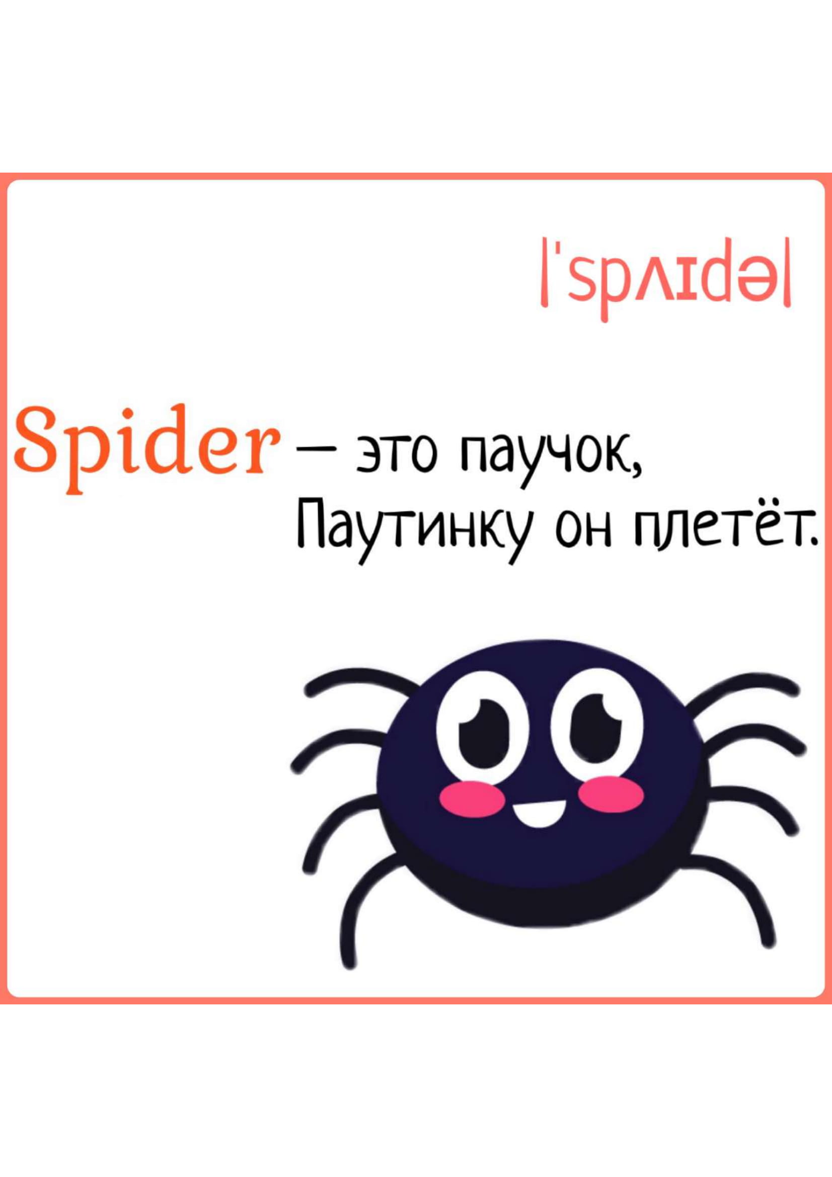 Карточки с картинками и английскими словами