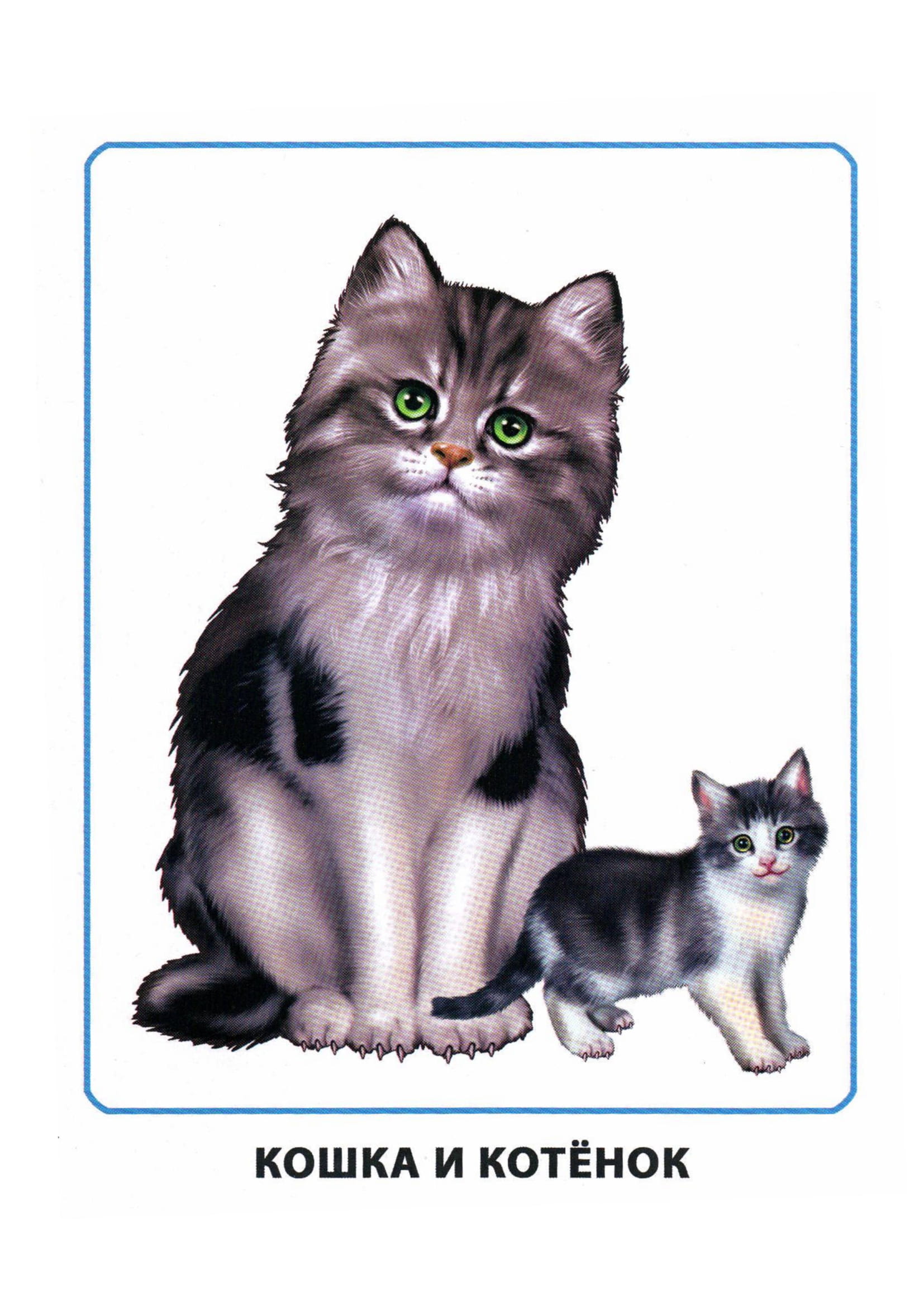 Карточки по окружающему миру. Мамы и дети. Раннее развитие детей.