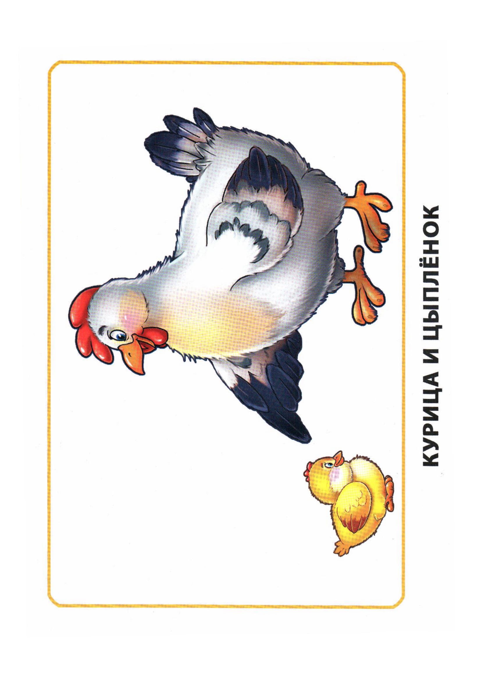 Карточки по окружающему миру. Мамы и дети. Раннее развитие детей.