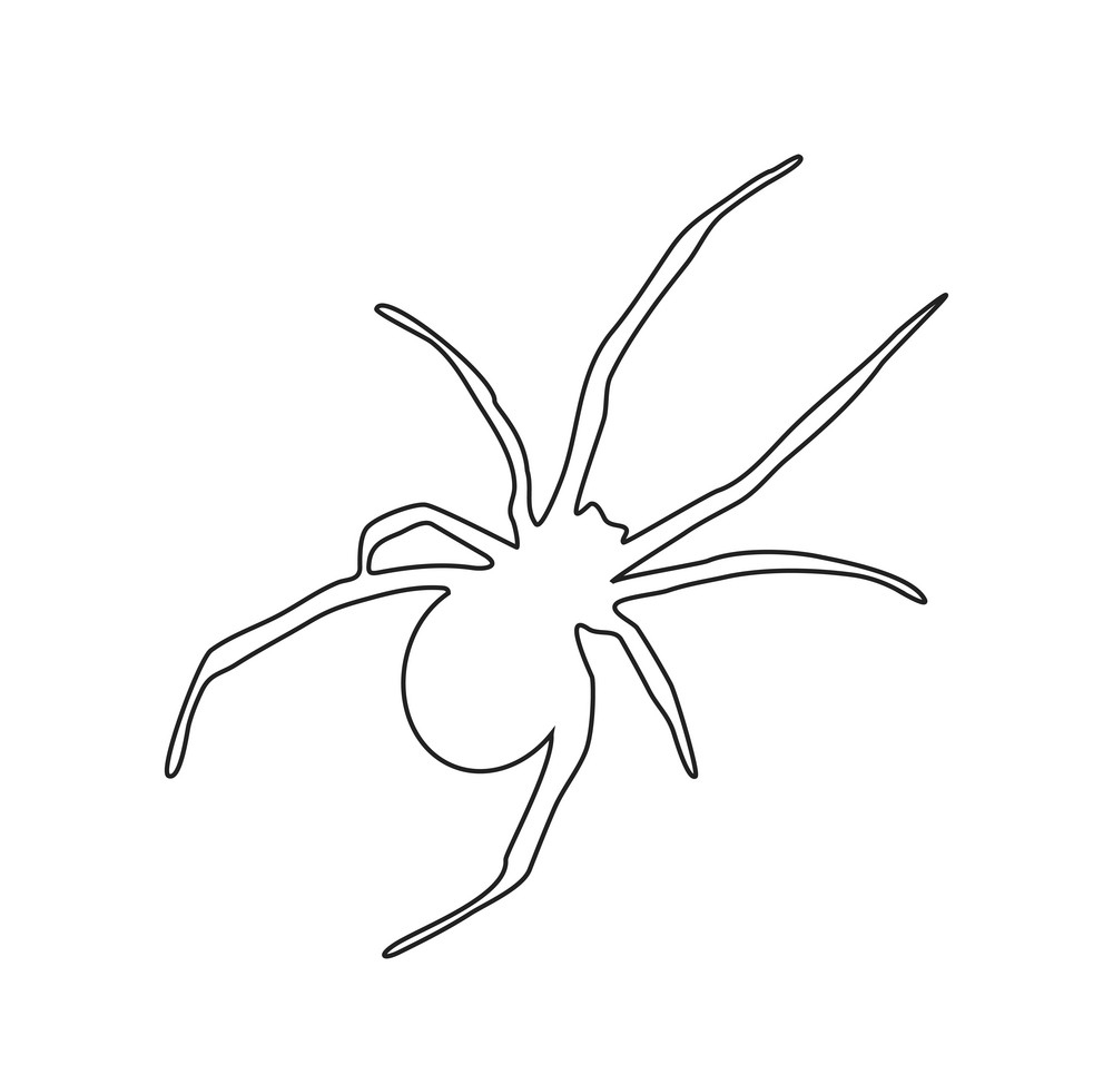 Раскраски для вырезания с шаблонами пауков