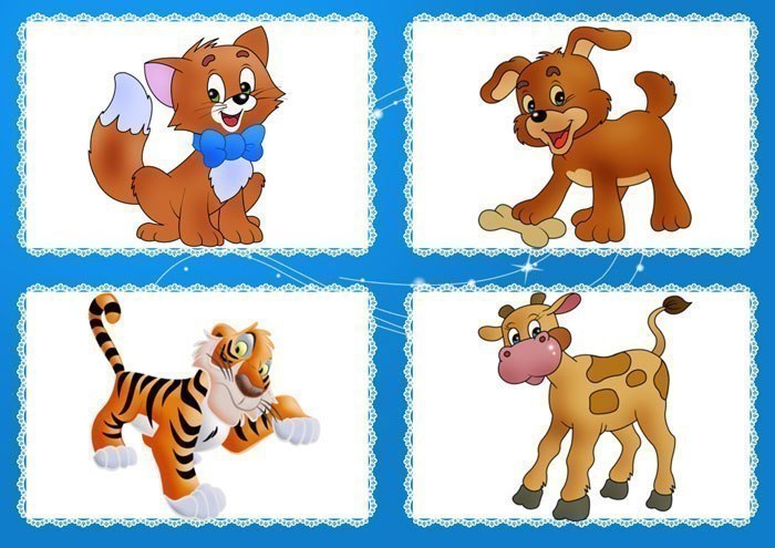 Задания на развитие логики для дошкольников. Найди лишний предмет