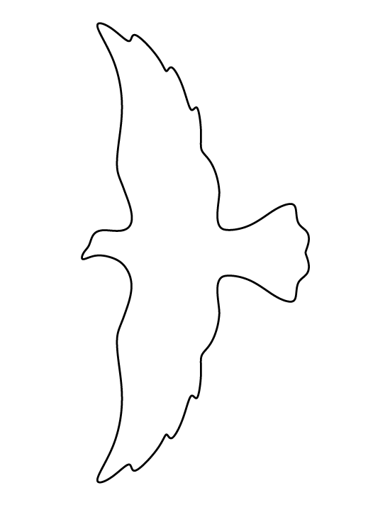 Скачать раскраски с контурами птиц онлайн.