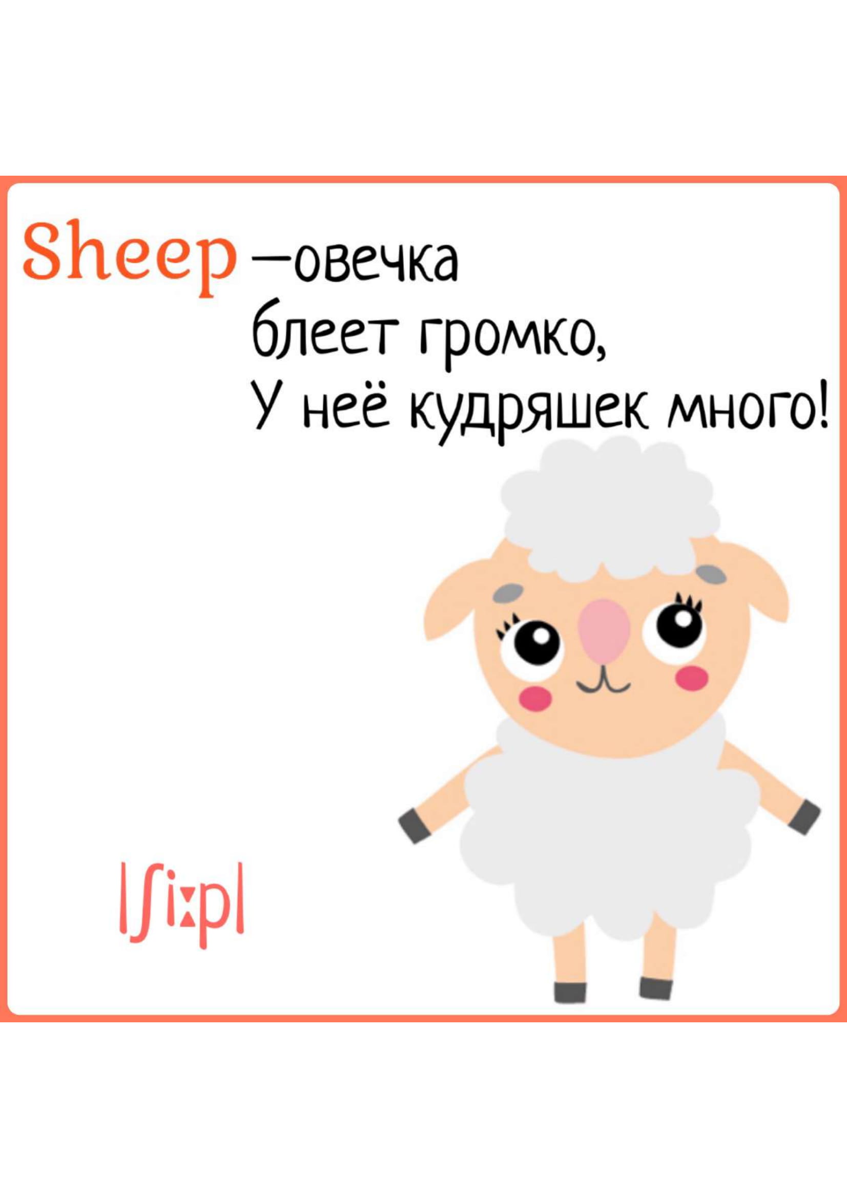 Карточки с картинками и английскими словами