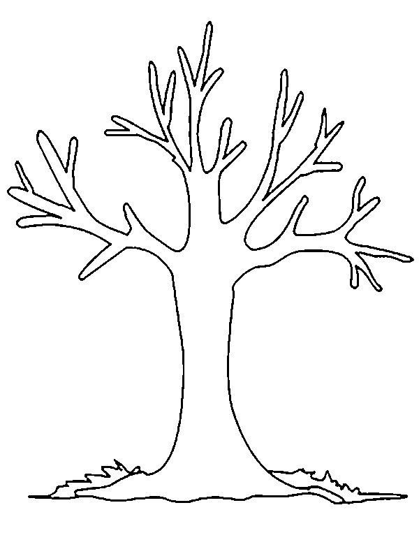 Контуры шаблоны деревьев для вырезания скачать бесплатно онлайн и распечатать
