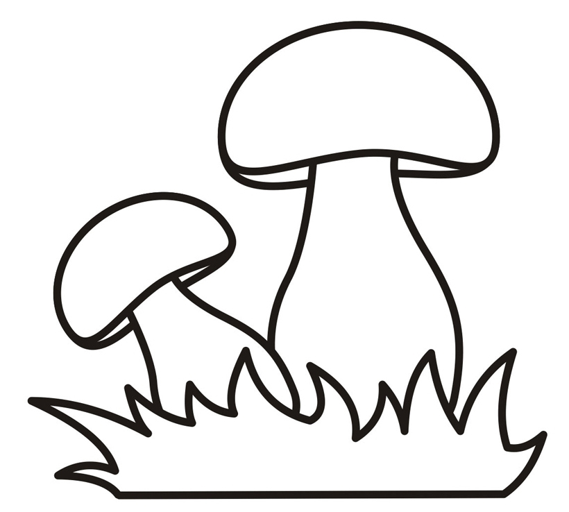 Раскраски грибов скачать и распечатать онлайн бесплатно