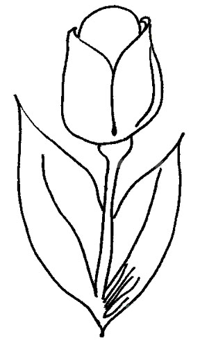 Контуры цветов для вырезания скрапбукинга поделок и аппликаций скачать беспла...