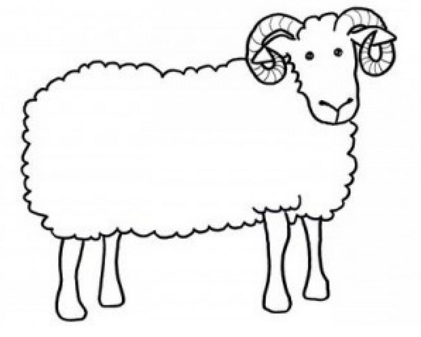 Баран. Раскраски с барашками