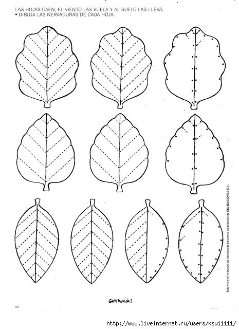 Задания для подготовки руки к письму. Штриховки и раскраски
