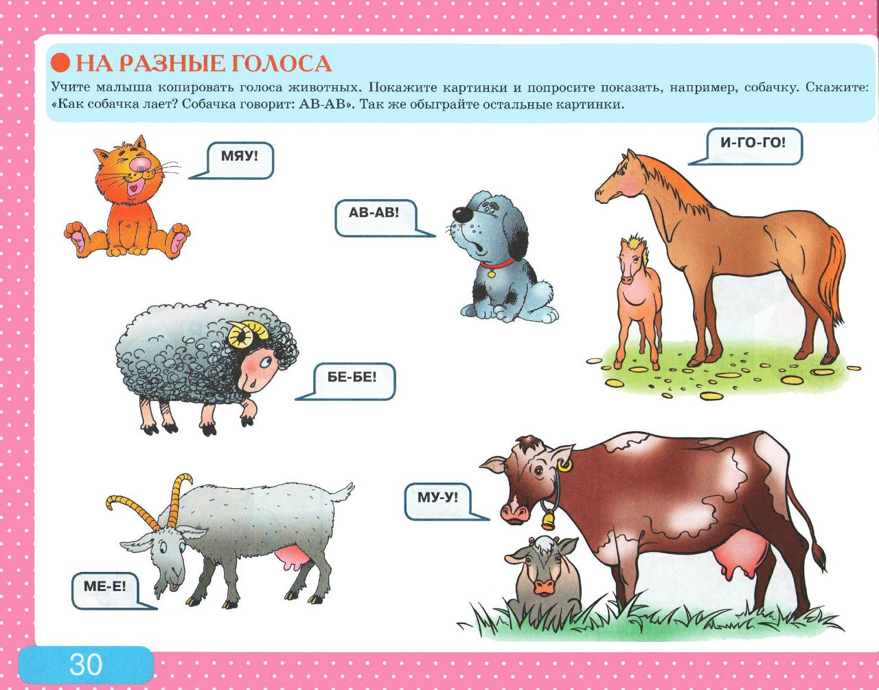 Альбом с заданиями по развитию речи для самых маленьких