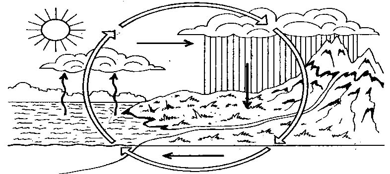 Круговорот воды в природе. Изучаем окружающий мир. Раскраски для раннего разв...
