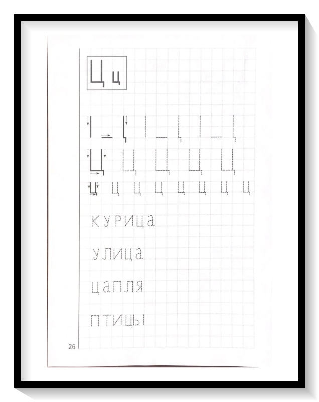 Мои печатные прописи для детей 4-5-6 лет