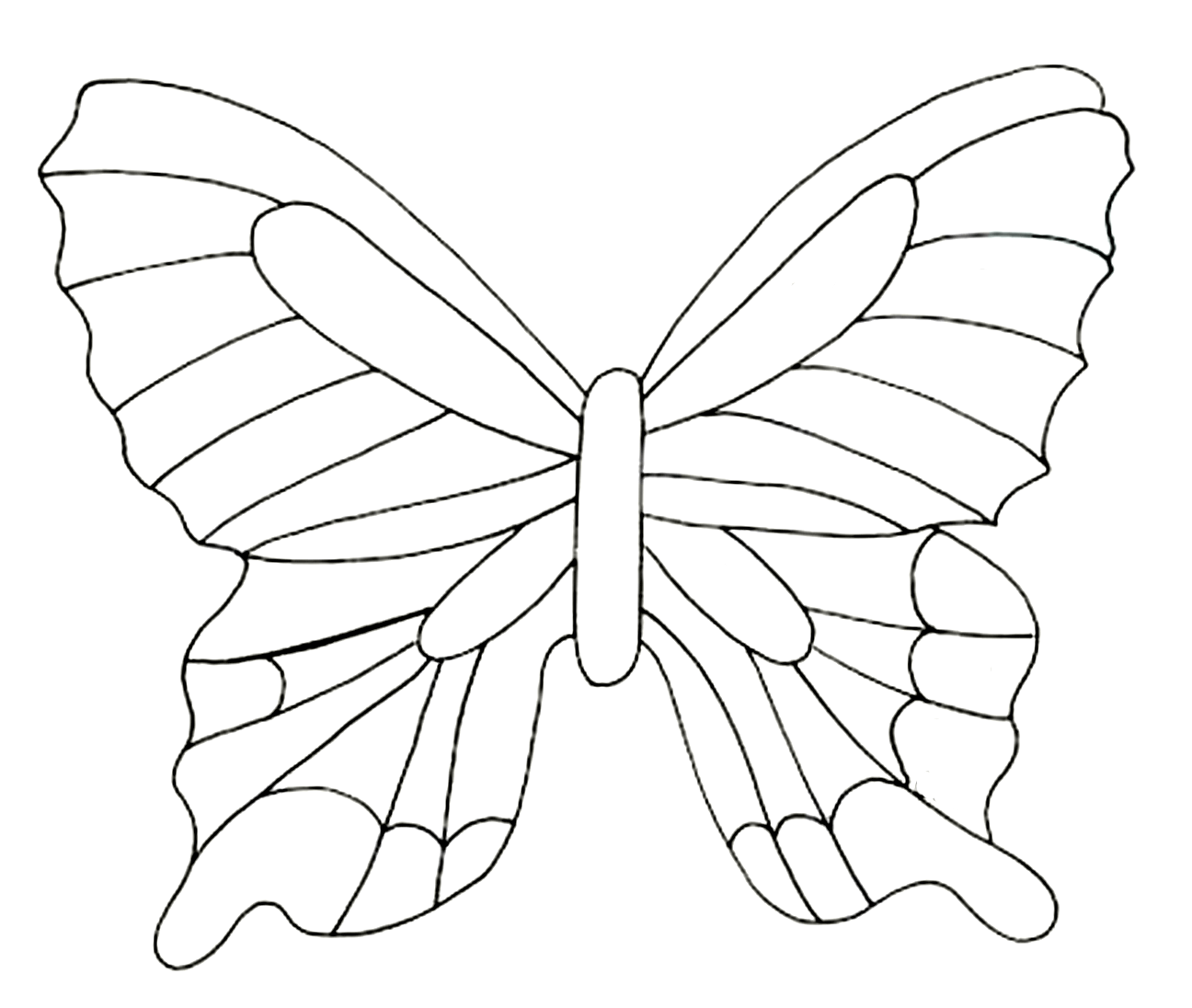 Бабочка эскиз рисунок