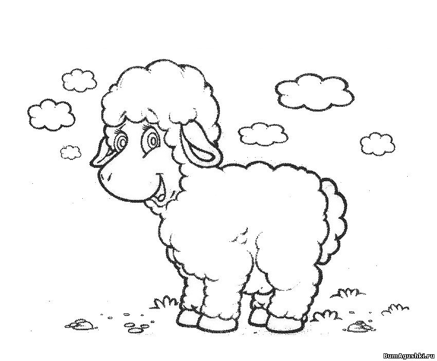 Баран. Раскраски с барашками