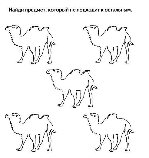 Найди отличающийся предмет. Раннее развитие.