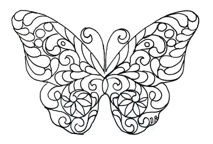 красивые бабочки хорошего качества 