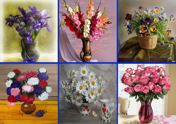 Изучаем цветы. Карточки с цветами. Дошкольная подготовка изучаем окружающий мир