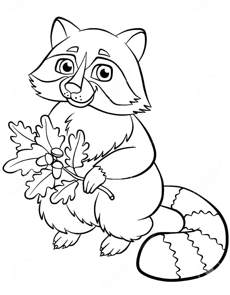 Животное енот