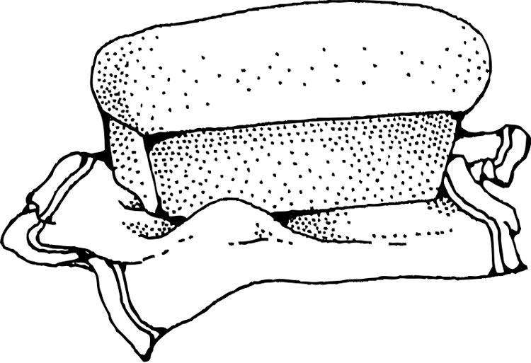 хлеб в раскрасках и ломтики хлеба. Батон