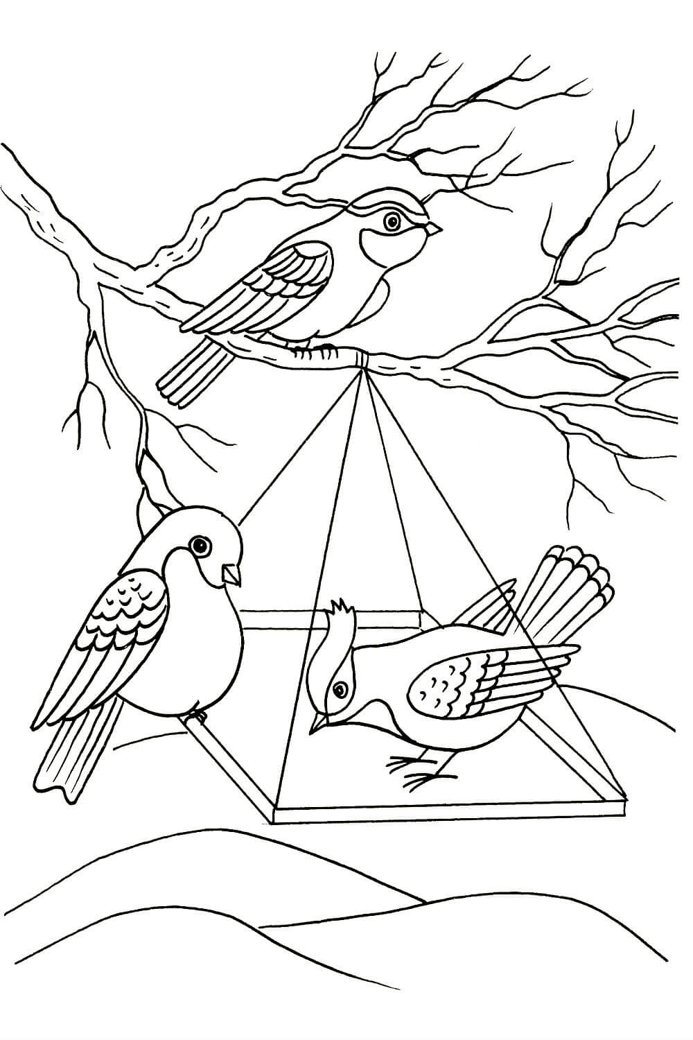 Птицы едят корм