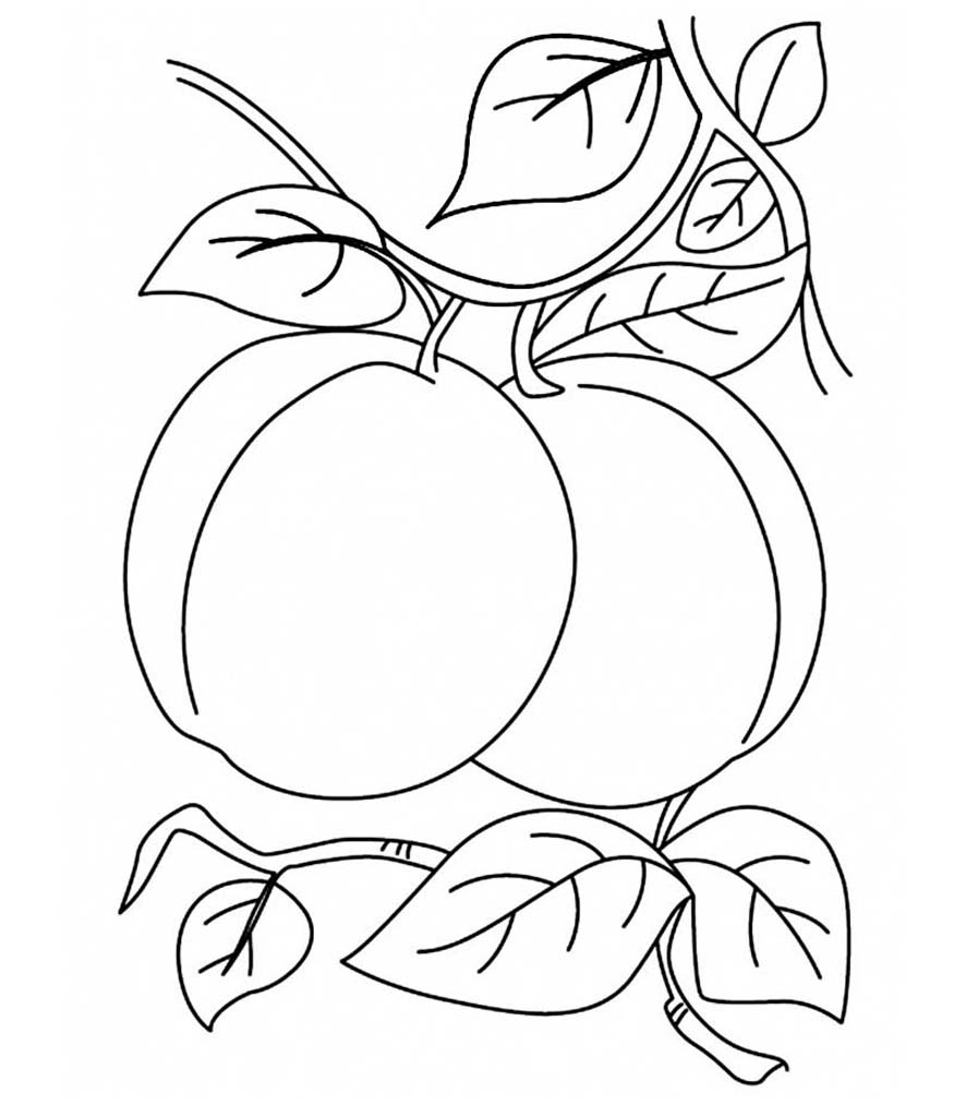 Детские раскраски для раннего развития детей с фруктами и ягодами 