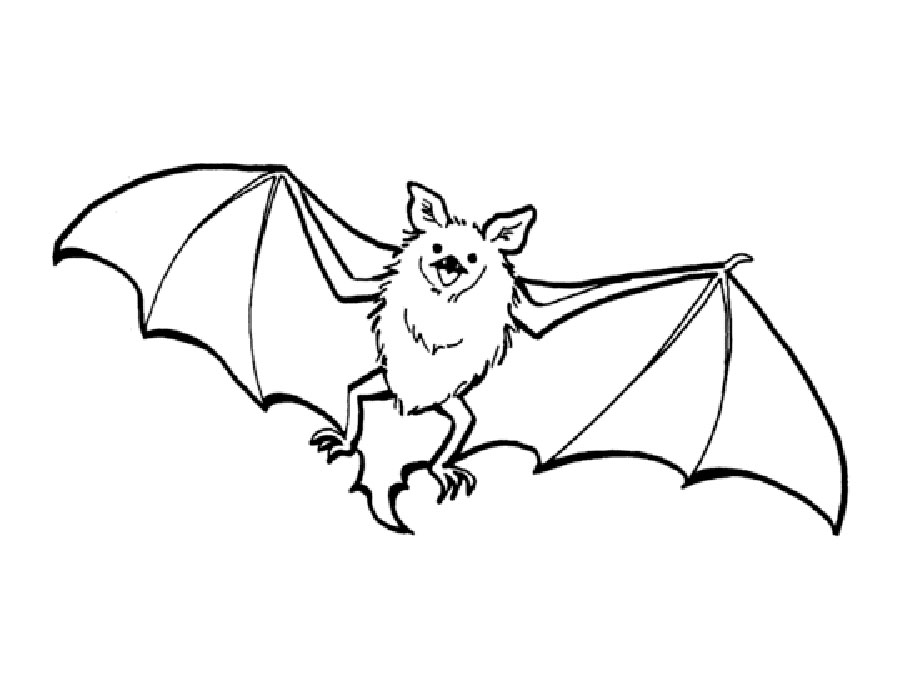 Летучая мышь которая летает или висит вверх ногами