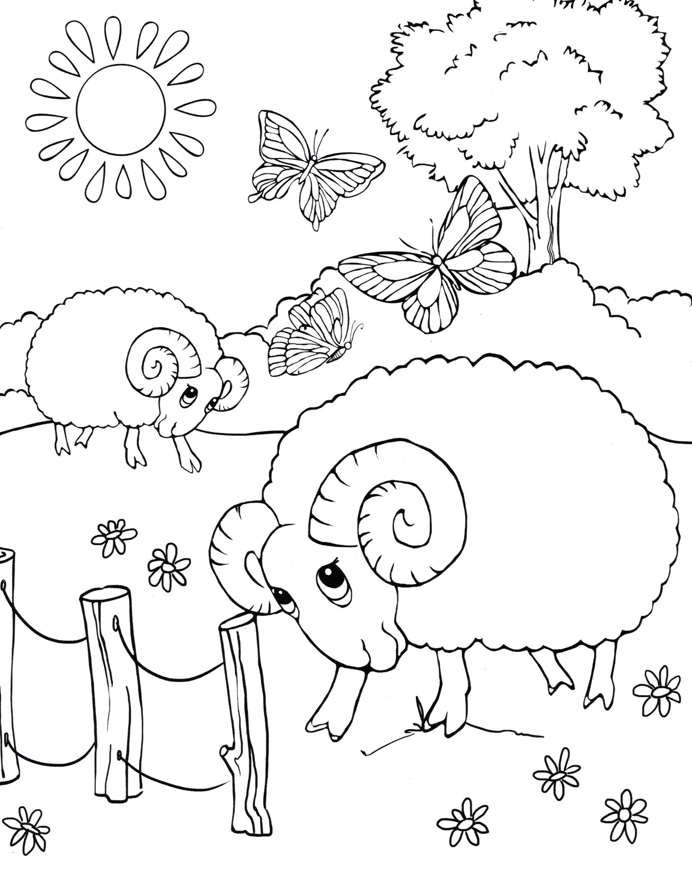 Баран. Раскраски с барашками