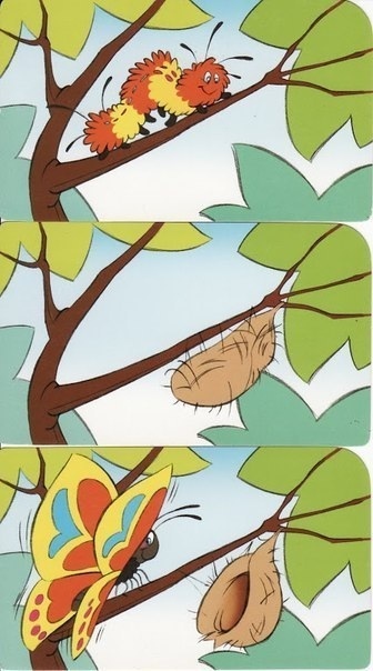 Последовательности и ряды на логику. Прокомментируй верная ли последовательно...