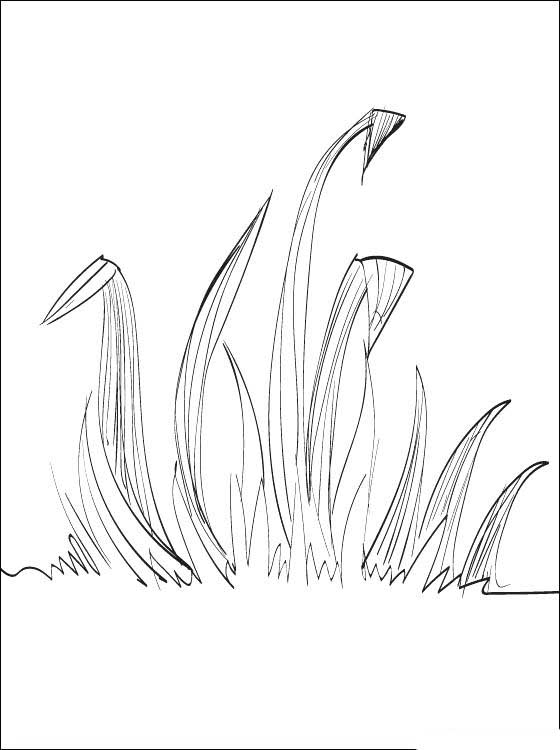 Раскраски травы для изучения природы с детьми