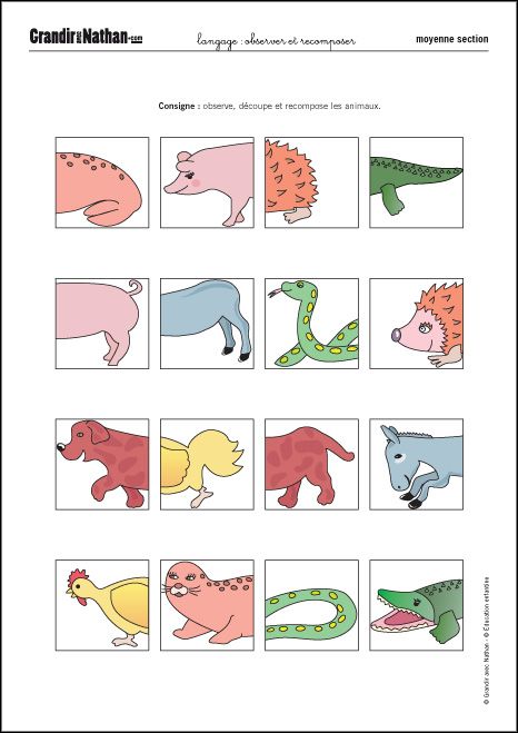 Карточки которые нужно разрезать и дать детям чтобы они нашли пару