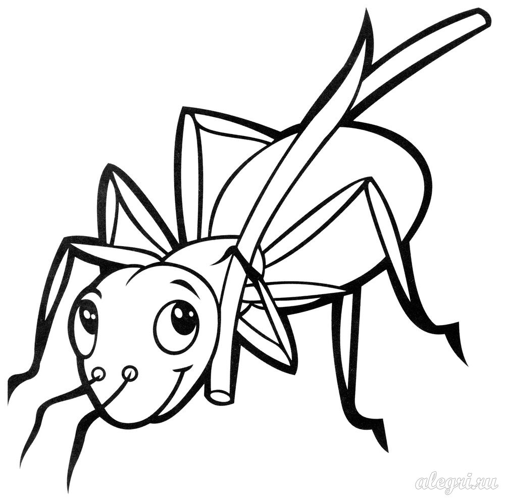 Раскраски с насекомыми. Изучаем с ребенком окружающий мир