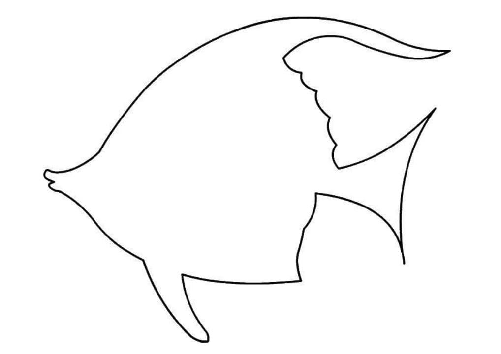 Раскраски с морскими речными и аквариумными рыбами  а также обитателями морей...