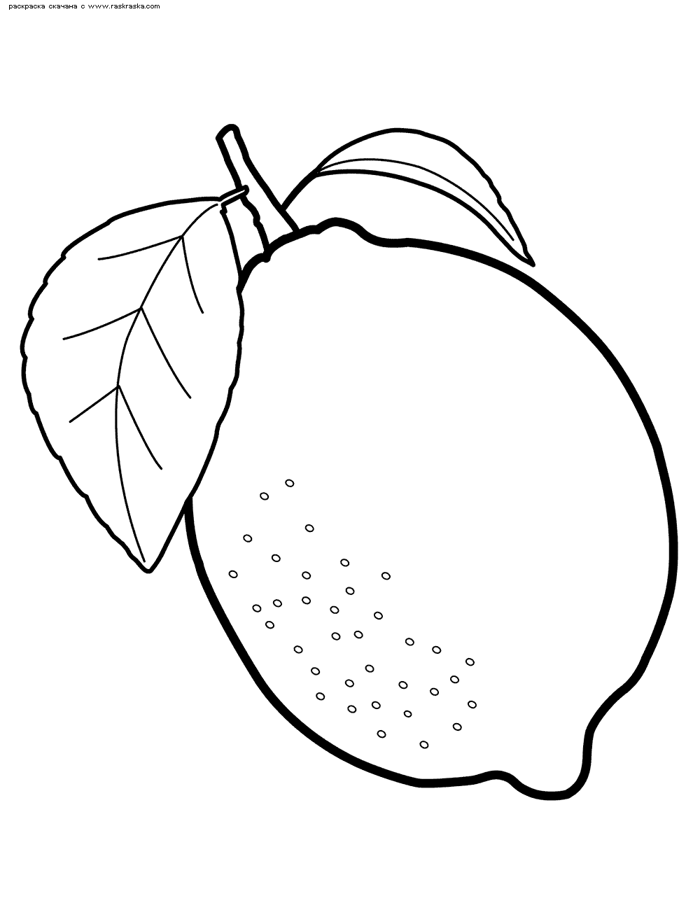 Детские раскраски для раннего развития детей с фруктами и ягодами 