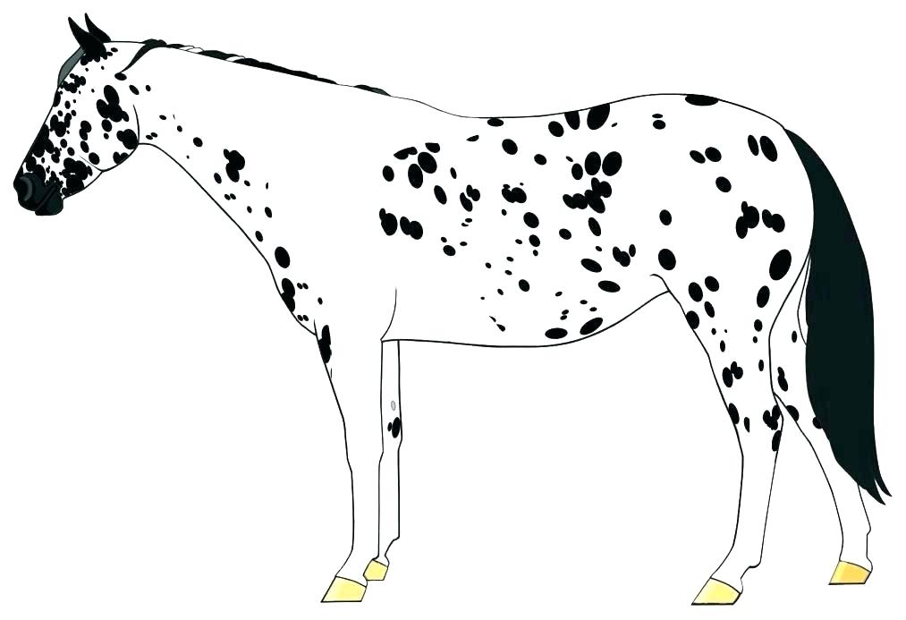 Лошадки в хорошем качестве распечатать бесплатно