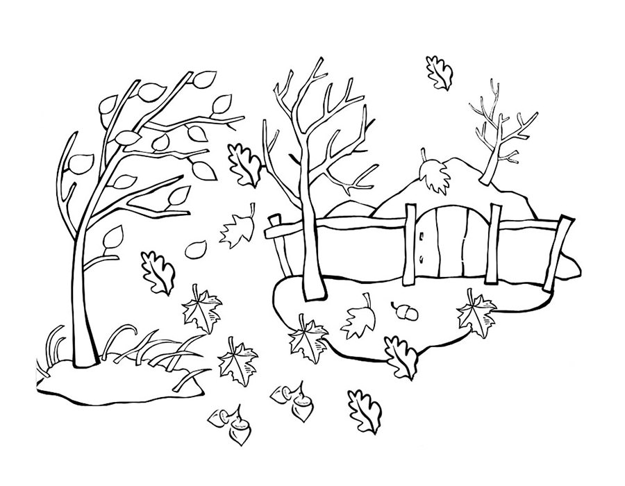 Осенние раскраски. Времена года