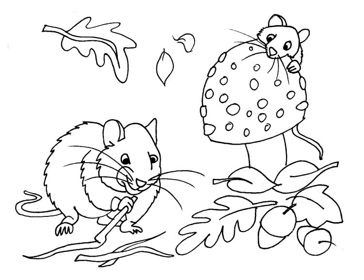 Мышки делают запасы на зиму