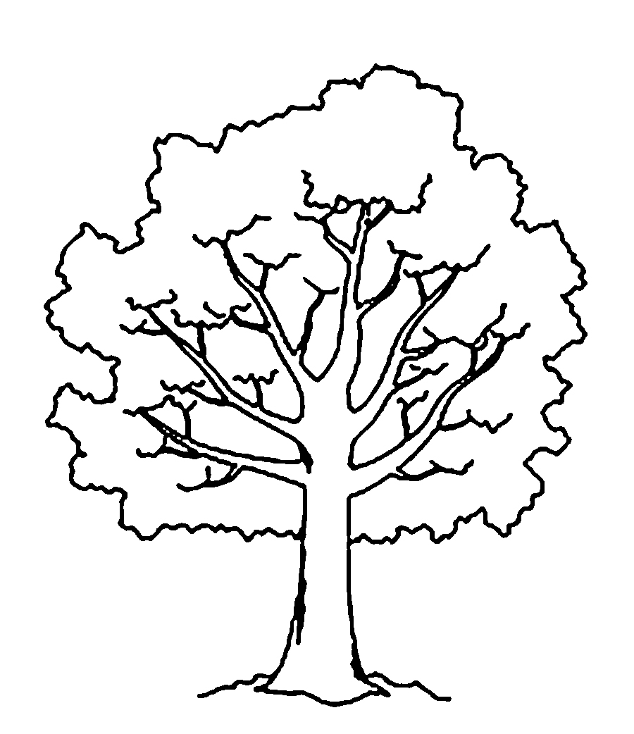 Контуры шаблоны деревьев для вырезания скачать бесплатно онлайн и распечатать