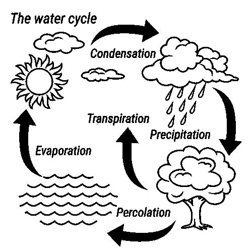 Раскраски со схемами круговорота воды в природе для занятий по раннему развит...