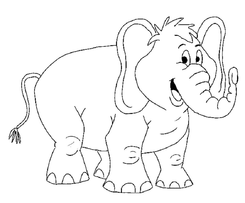 Индийские и африканские слоны это животные с длинным хоботом