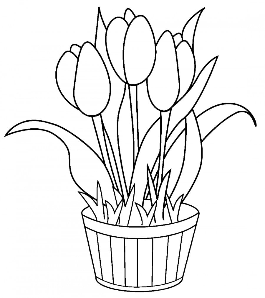 Цветы в горшке для раскрашивания