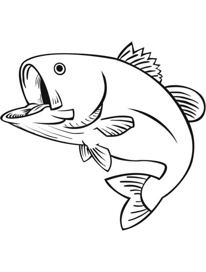 Раскраски с морскими речными и аквариумными рыбами  а также обитателями морей...