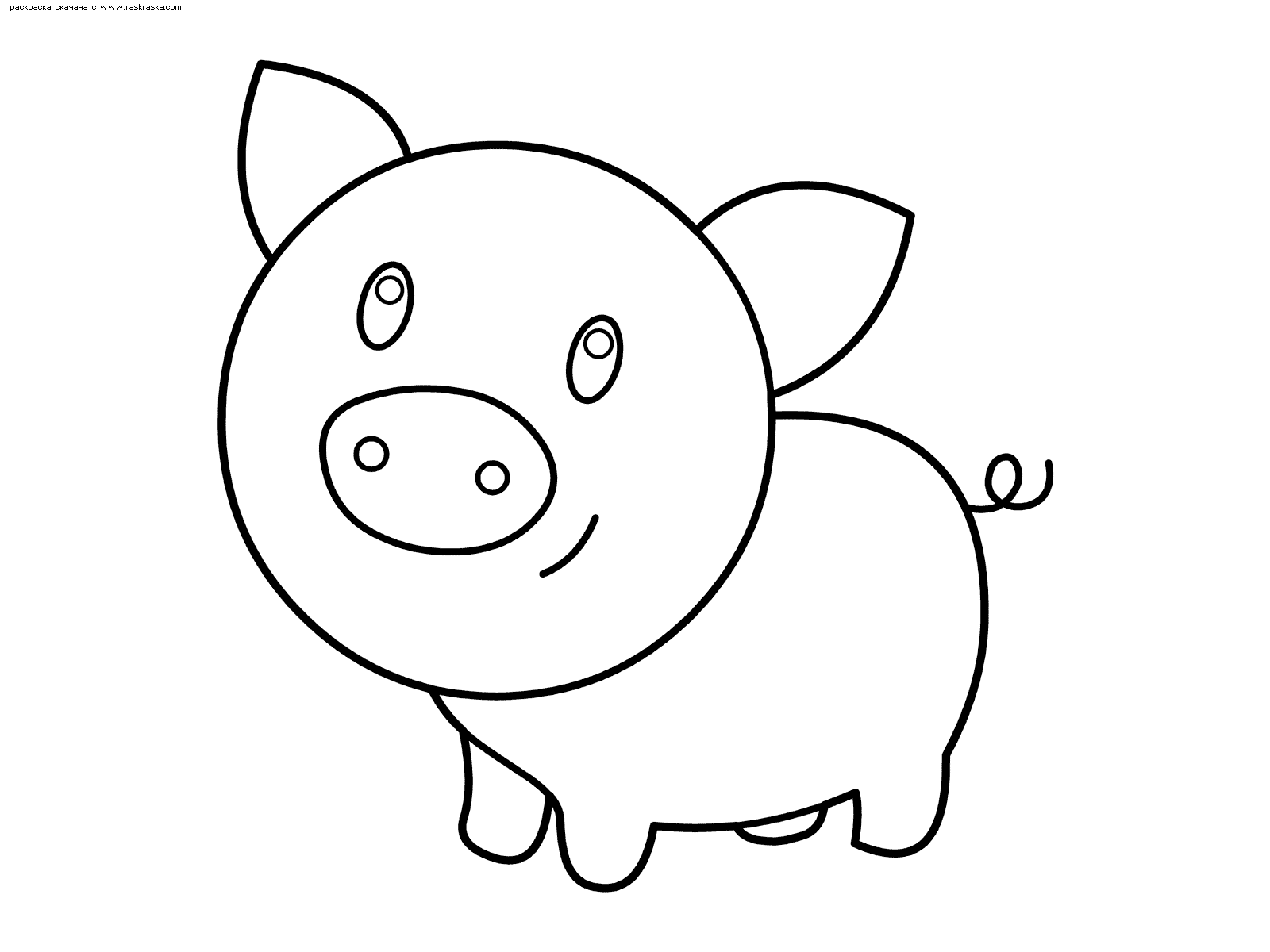 Свинка рисунок раскраска