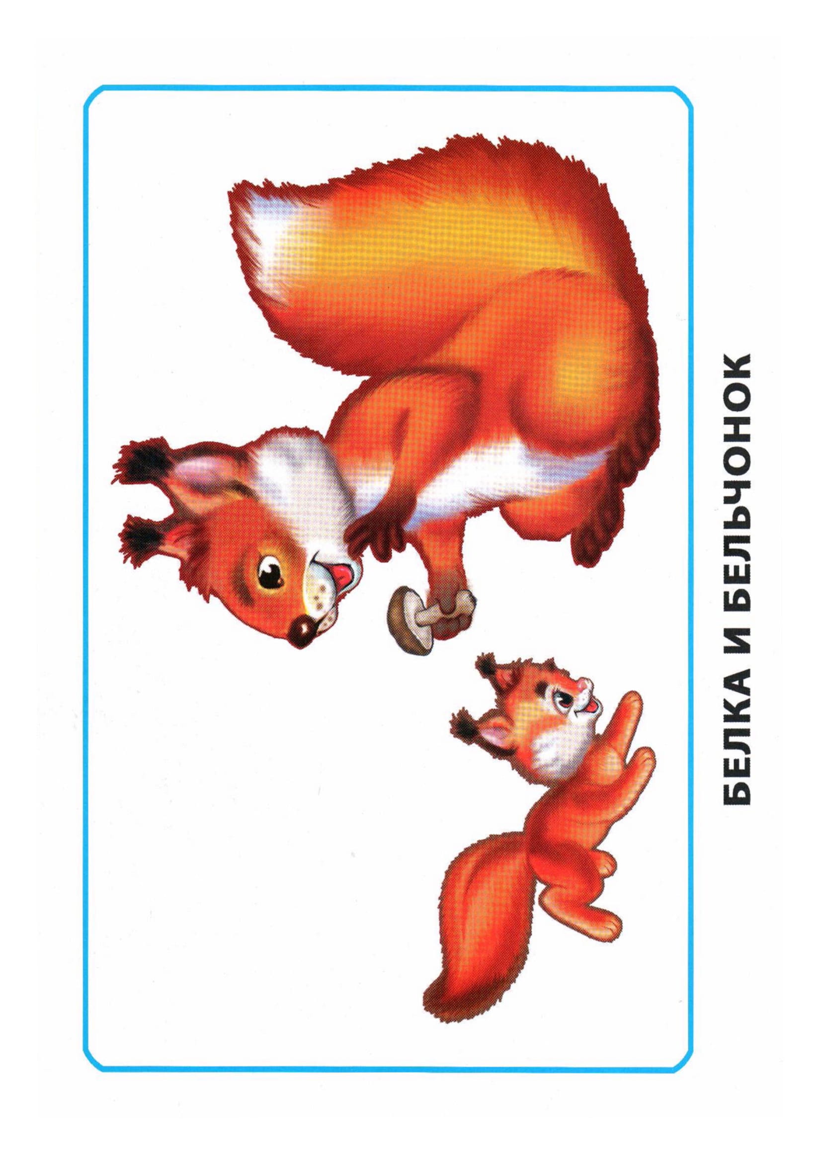 Карточки по окружающему миру. Мамы и дети. Раннее развитие детей.