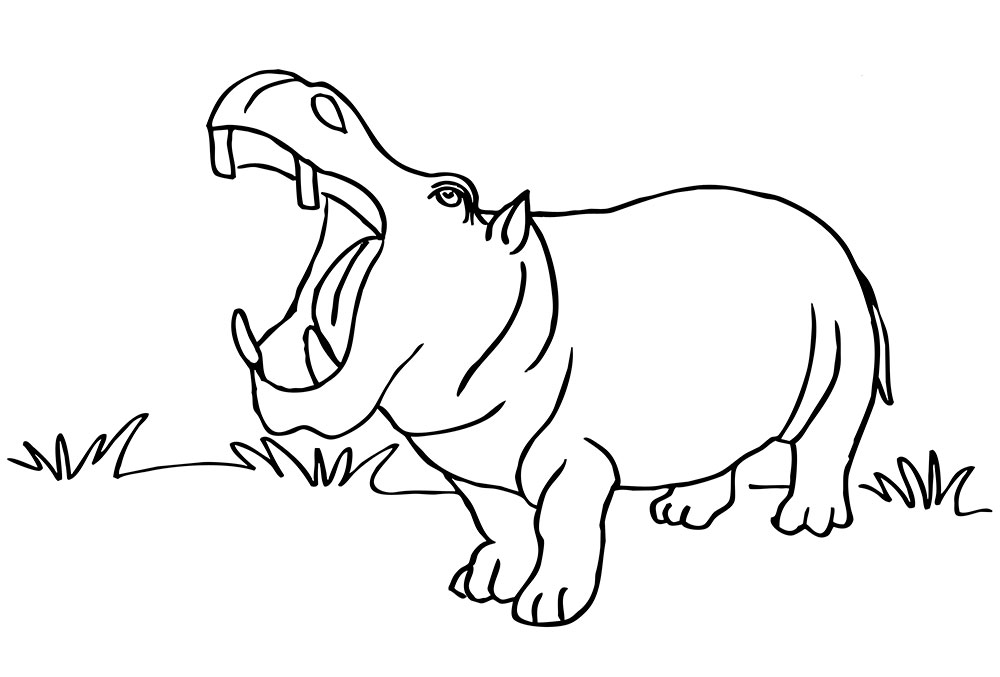 Бегемоты это животные с огромной пастью живущие в болотах