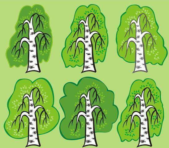 Задания на внимательность. Найди одинаковые картинки