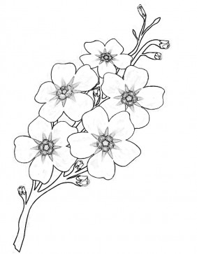 Раскраски для ознакомления ребенка с окружающим миром