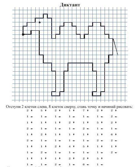 Задания с графическими диктантами для детей