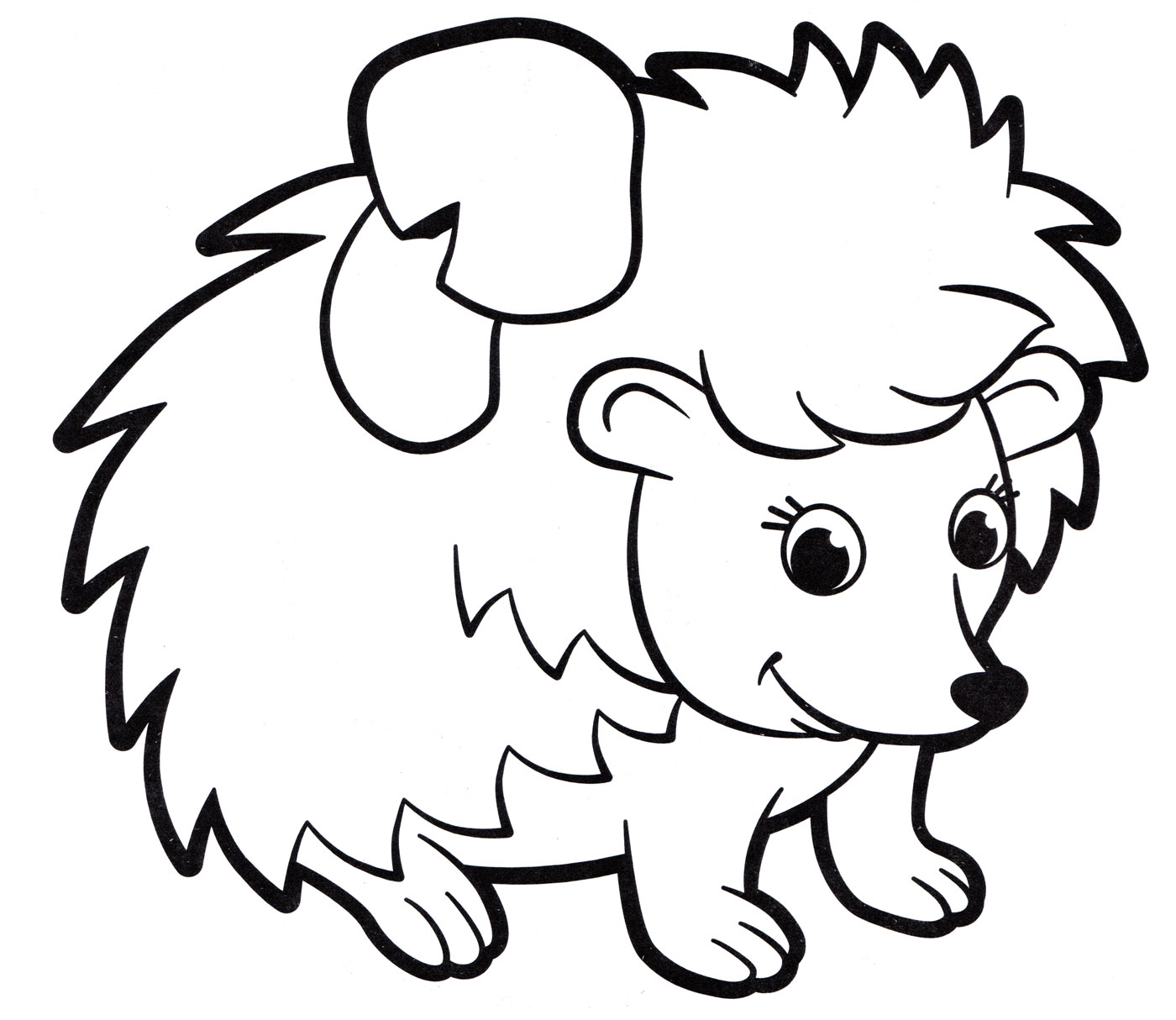 Животные по категорям