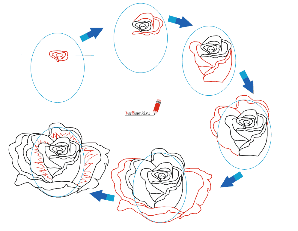 поэтапно как нарисовать